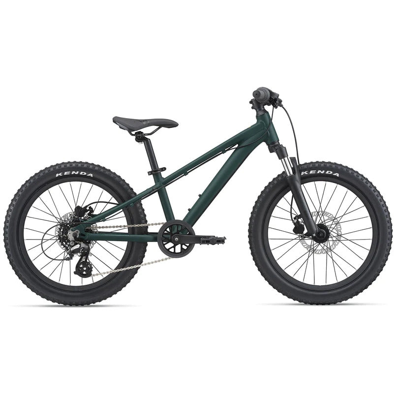 2022 Giant STP 20 Kids Bike - Trekking Green