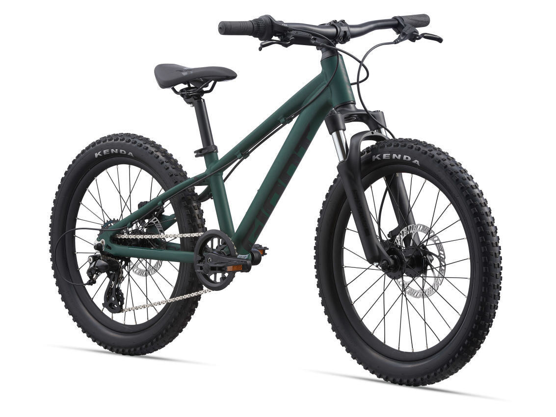 2022 Giant STP 20 Kids Bike - Trekking Green