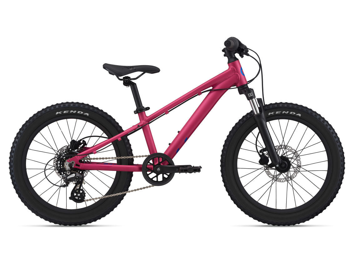 LIV STP 20 FS Virtual Pink