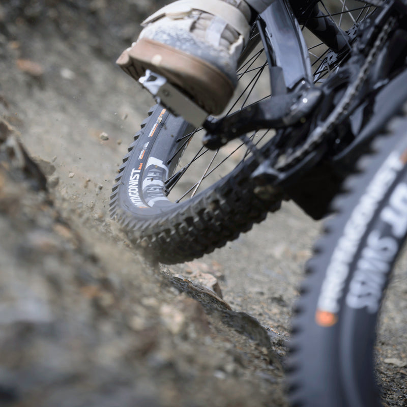 CAST x Pirelli - Antagonist - DH/Enduro Rear MTB Tyre