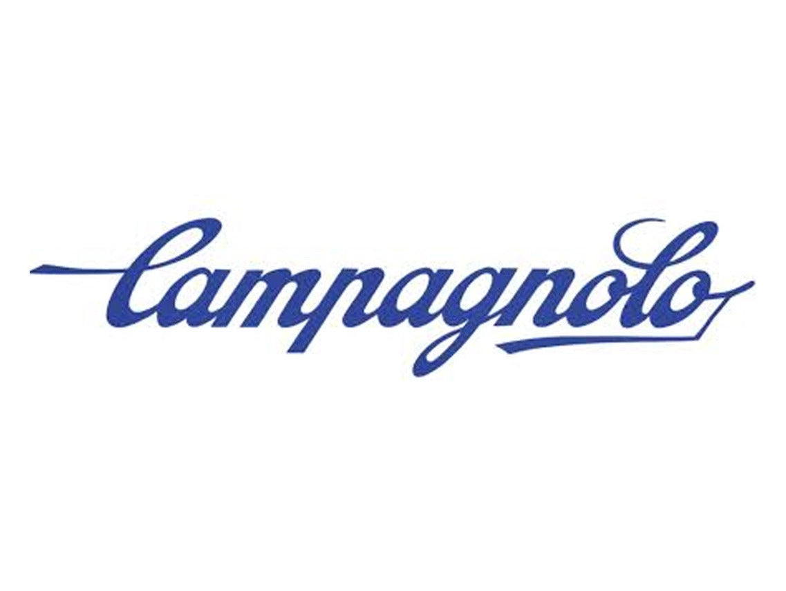 Campagnolo Ceramic Ball Bearing Ring (4 pcs.)