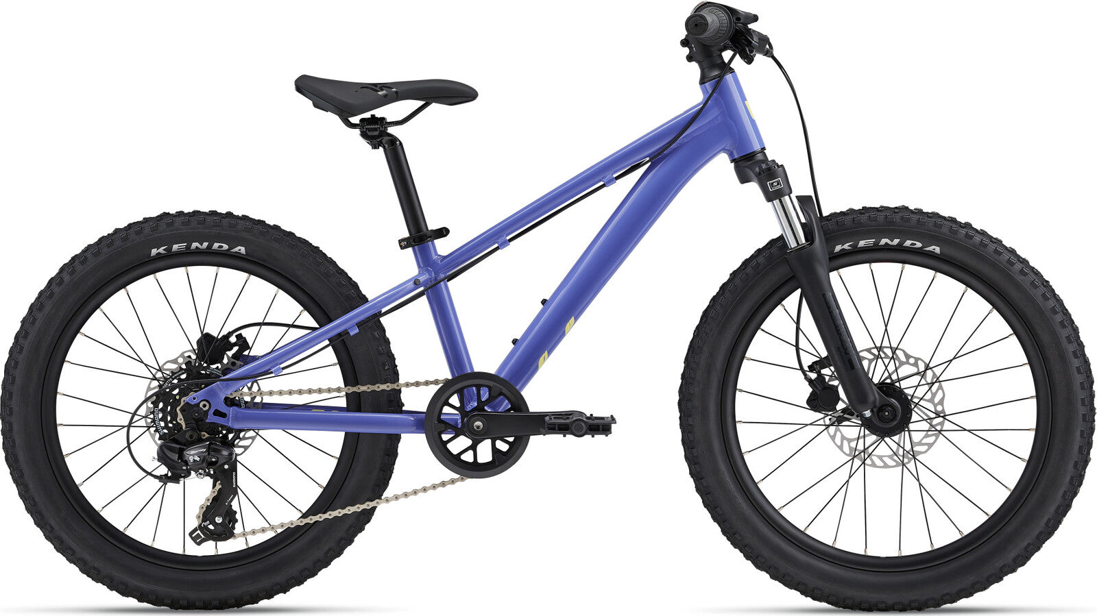 Liv STP 20 Girls Mountain Bike - Dusted Peri