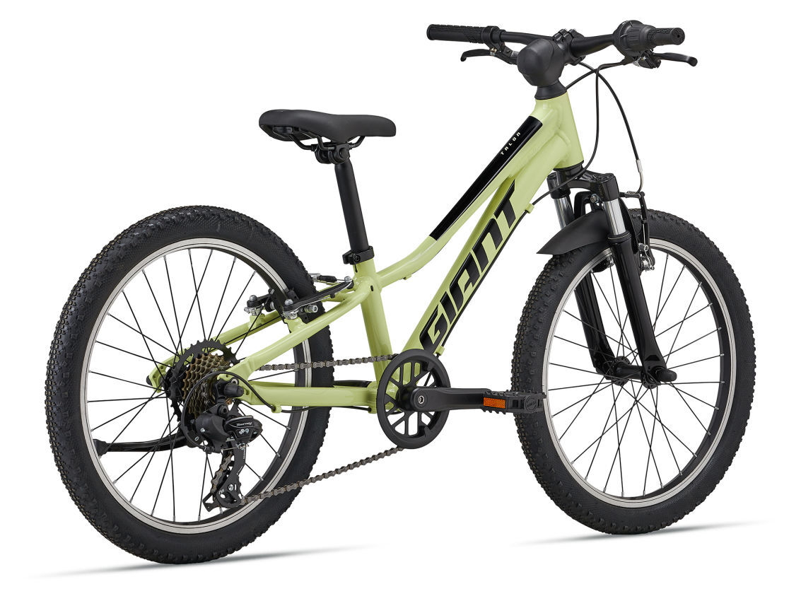 2024 Giant Talon 20 (One Size) Kids Mountain Bike