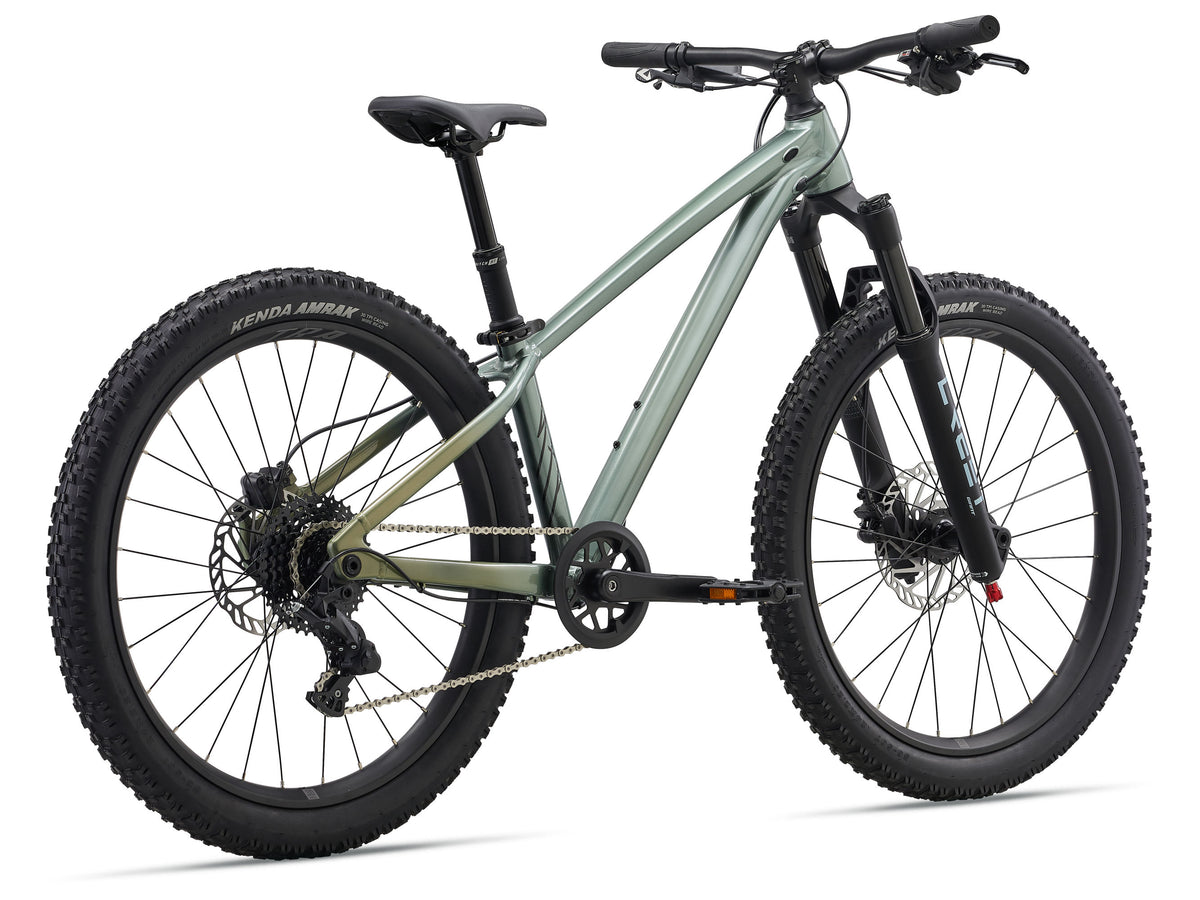 Liv STP 24 Girls MTB - One Size - Alpine Green