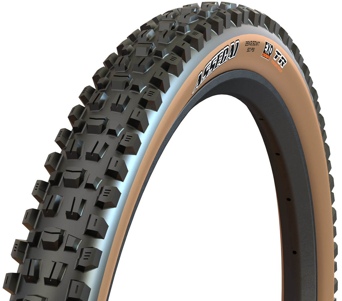 Maxxis Assegai tanwall tyre – three-quarter view
