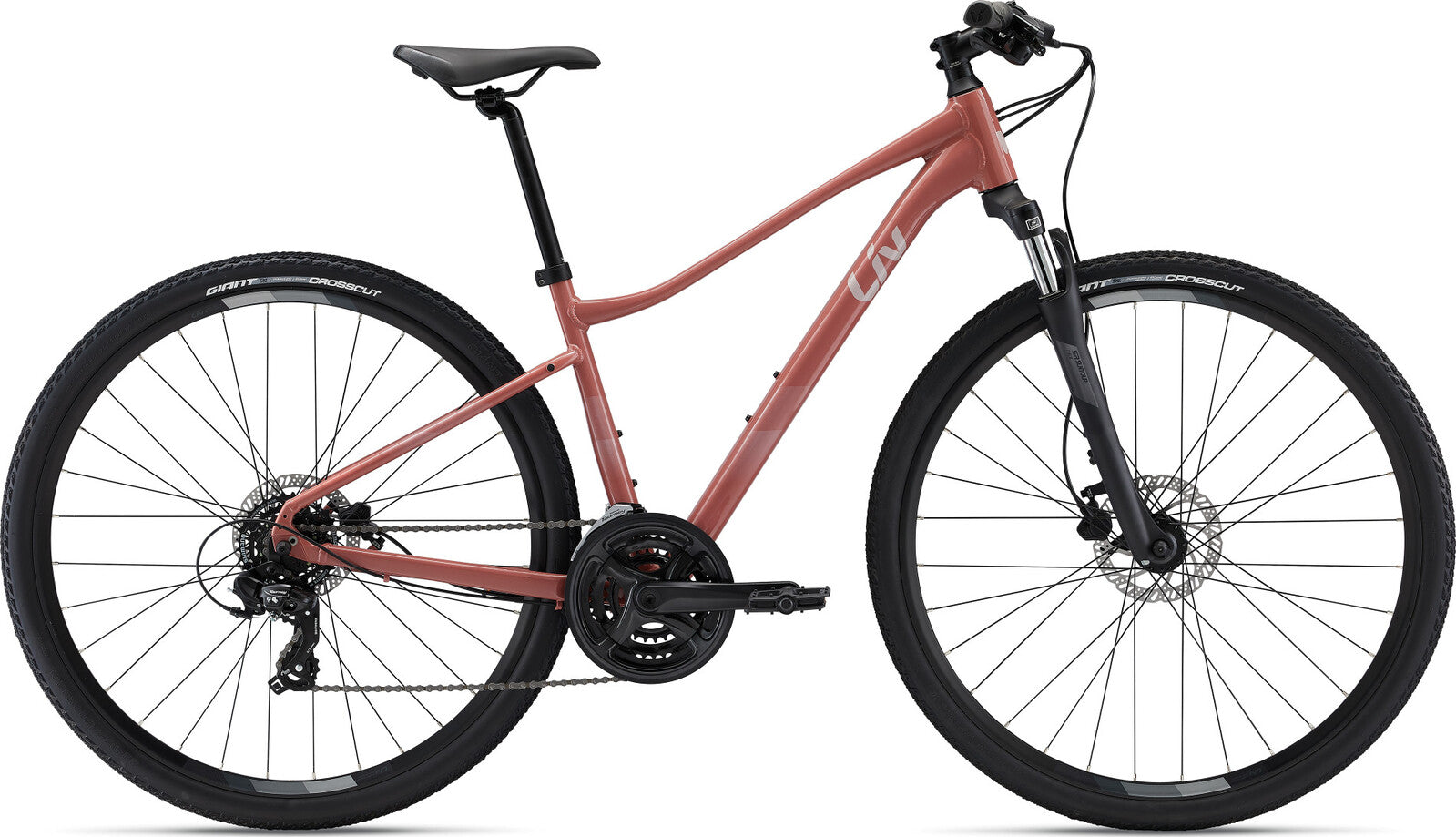 2022 Liv Rove 4 DD Women's Hybrid MTB Bike
