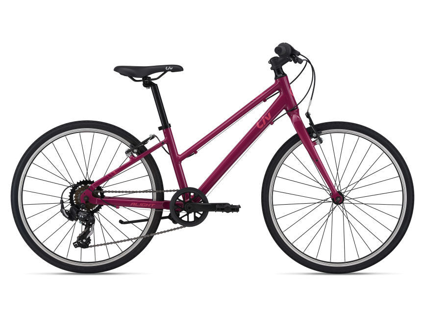 2022 Liv Alight 24 Girl's Bike [Colour: Purple]