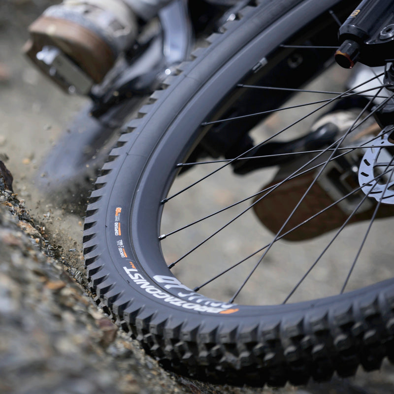 CAST x Pirelli - Protagonist - DH/Enduro Front MTB Tyre