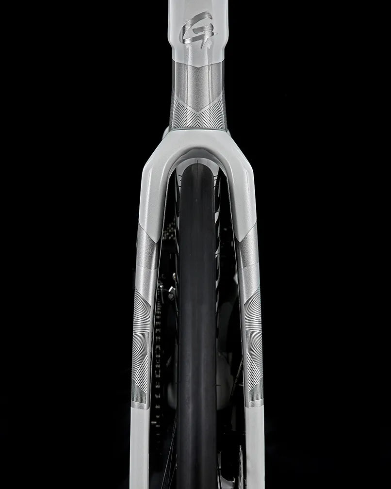 Gusto GTR Sport TE Carbon Road Bike | 105 Di2