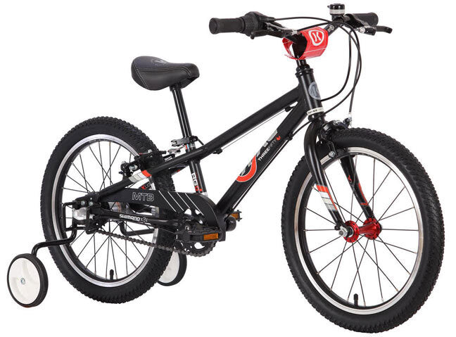 ByK E-350 Boys Mountain Bike - Black/Red