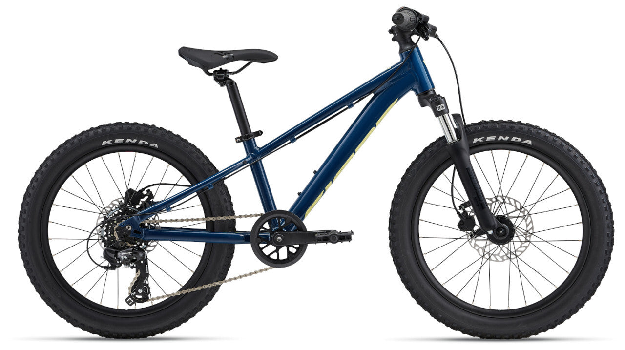 Giant STP 20 Kids Bike - Blue Palace