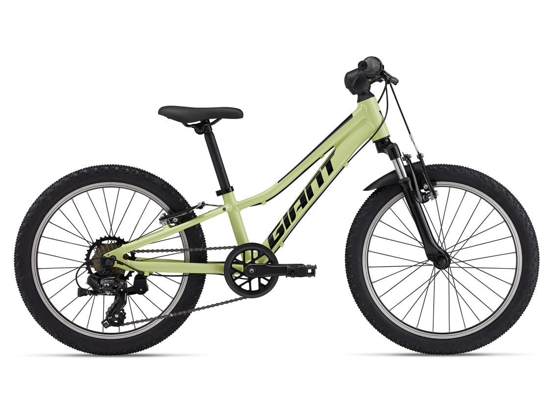 2024 Giant Talon 20 (One Size) Kids Mountain Bike