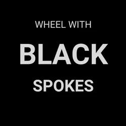 WHEEL 26" Alex EN-24 D/W Eyeleted Rim, 8/11 Speed Novatec 6Bolt Disc Q/R Hub, Mach 1 Spokes, REAR. ALL BLACK