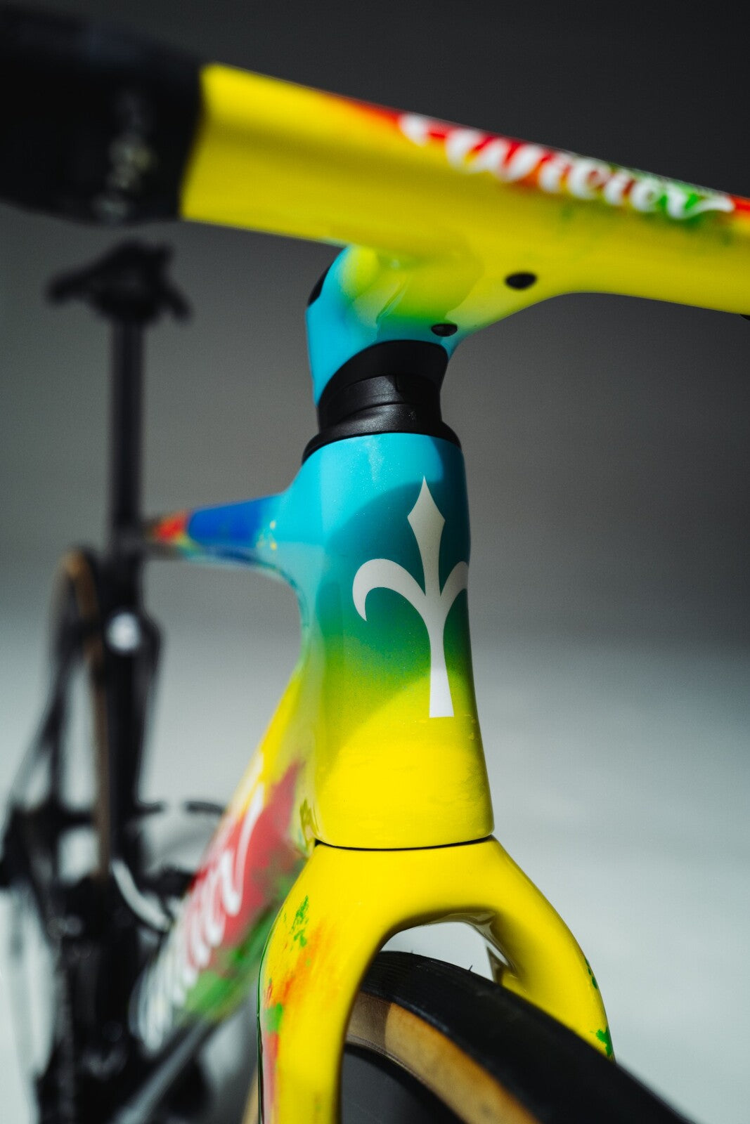 2024 Wilier Filante SLR Disc Frameset - Cavendish TDF 24 Final Edition