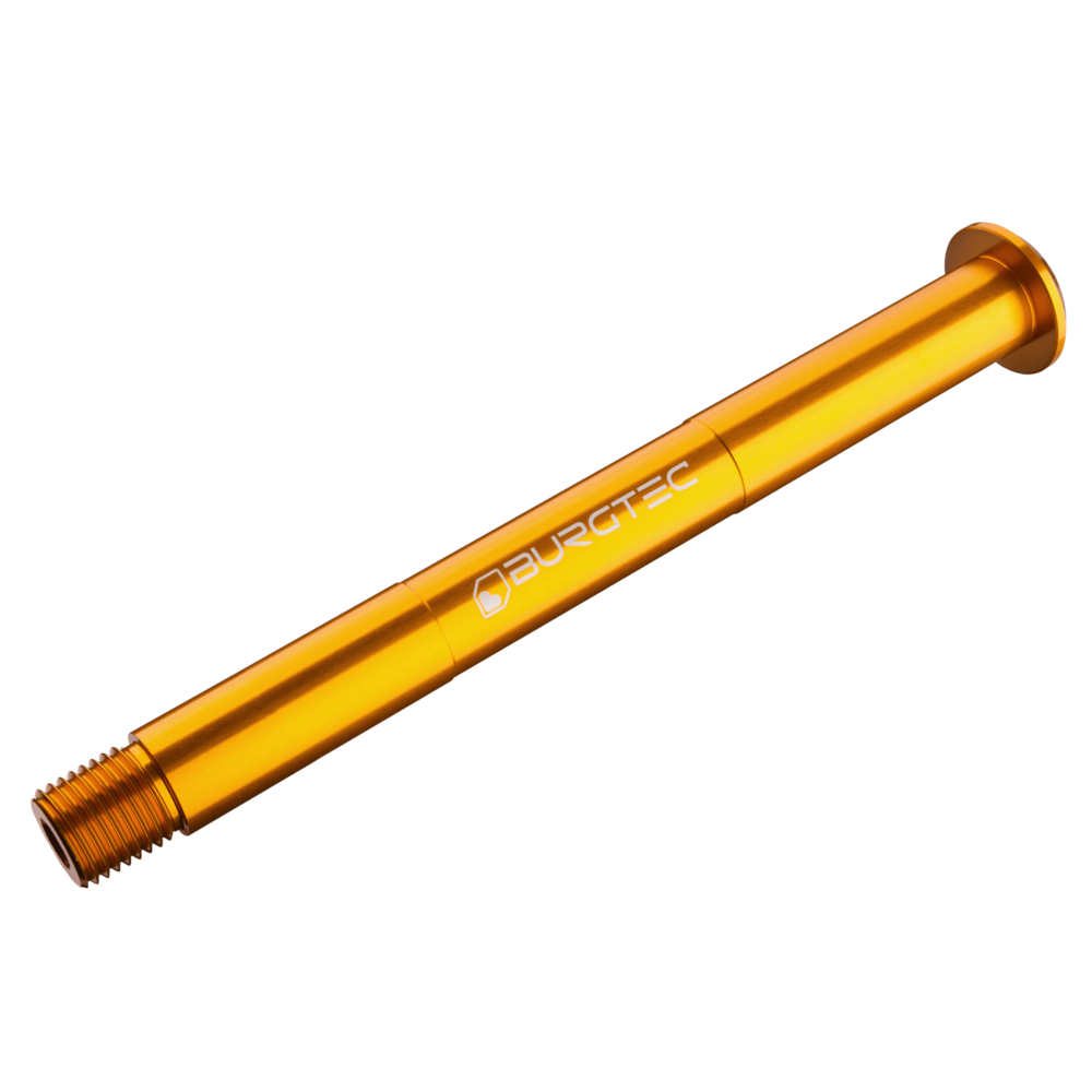 #colour_bullion gold