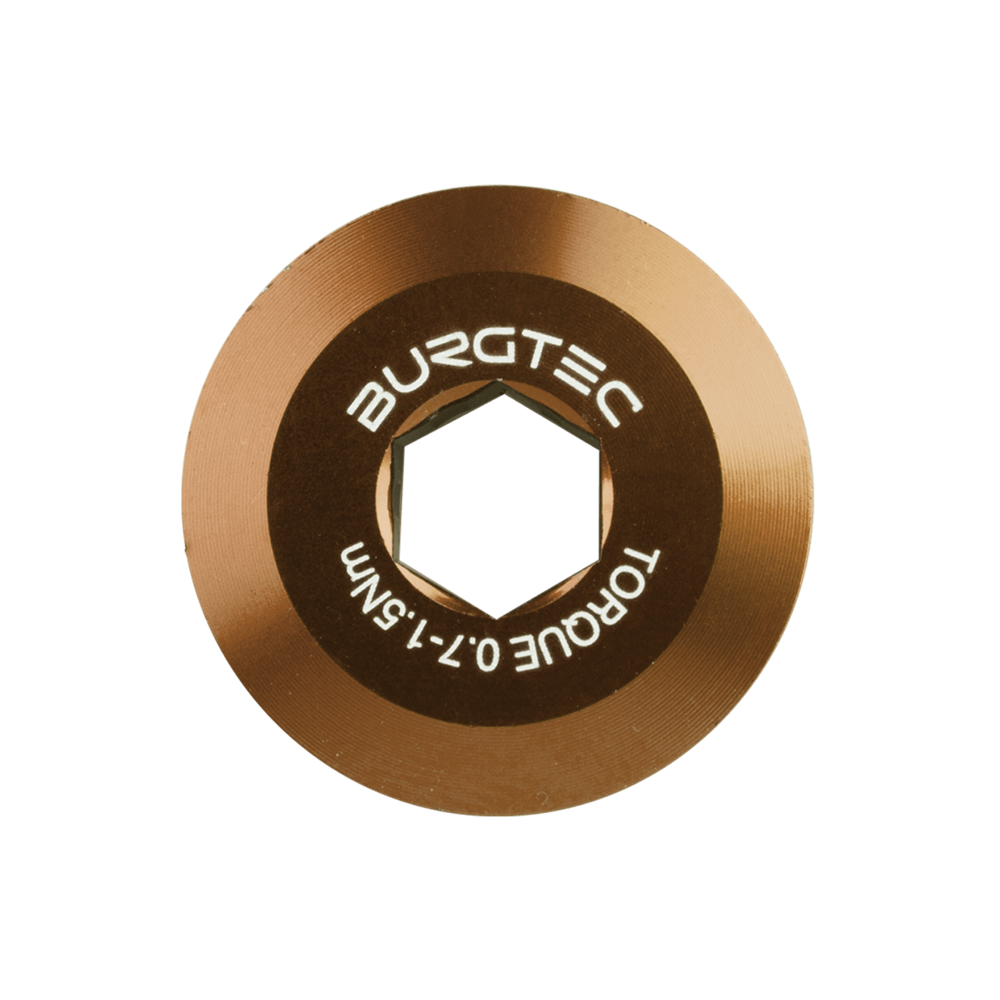 #colour_kash bronze