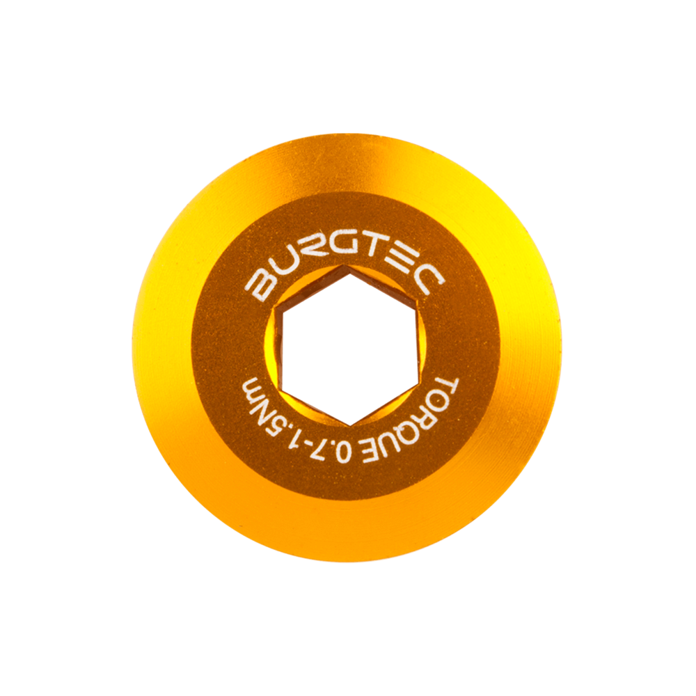 #colour_bullion gold
