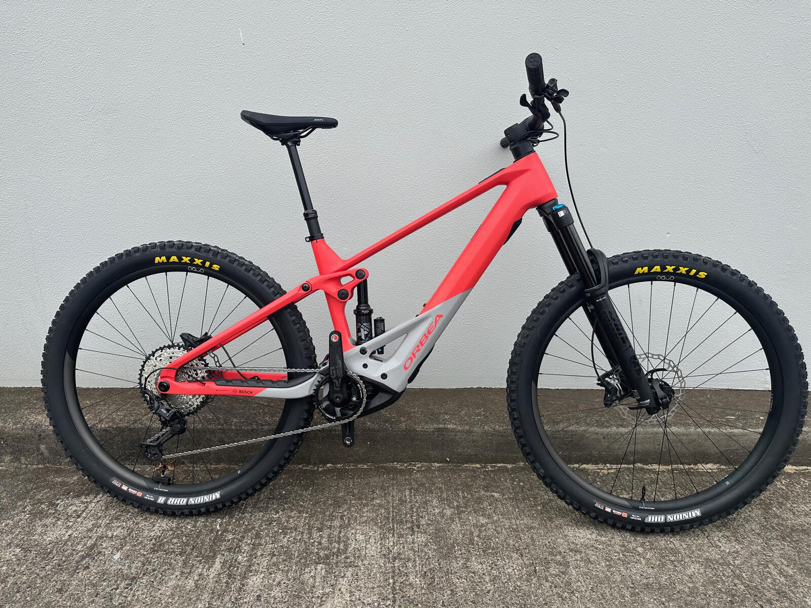 Orbea Wild M10 Large Custom