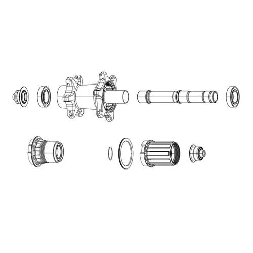 Zipp Freehub KIt Cognition V2 DB/RB 12Sp Shimano 11S Shimano/Sram