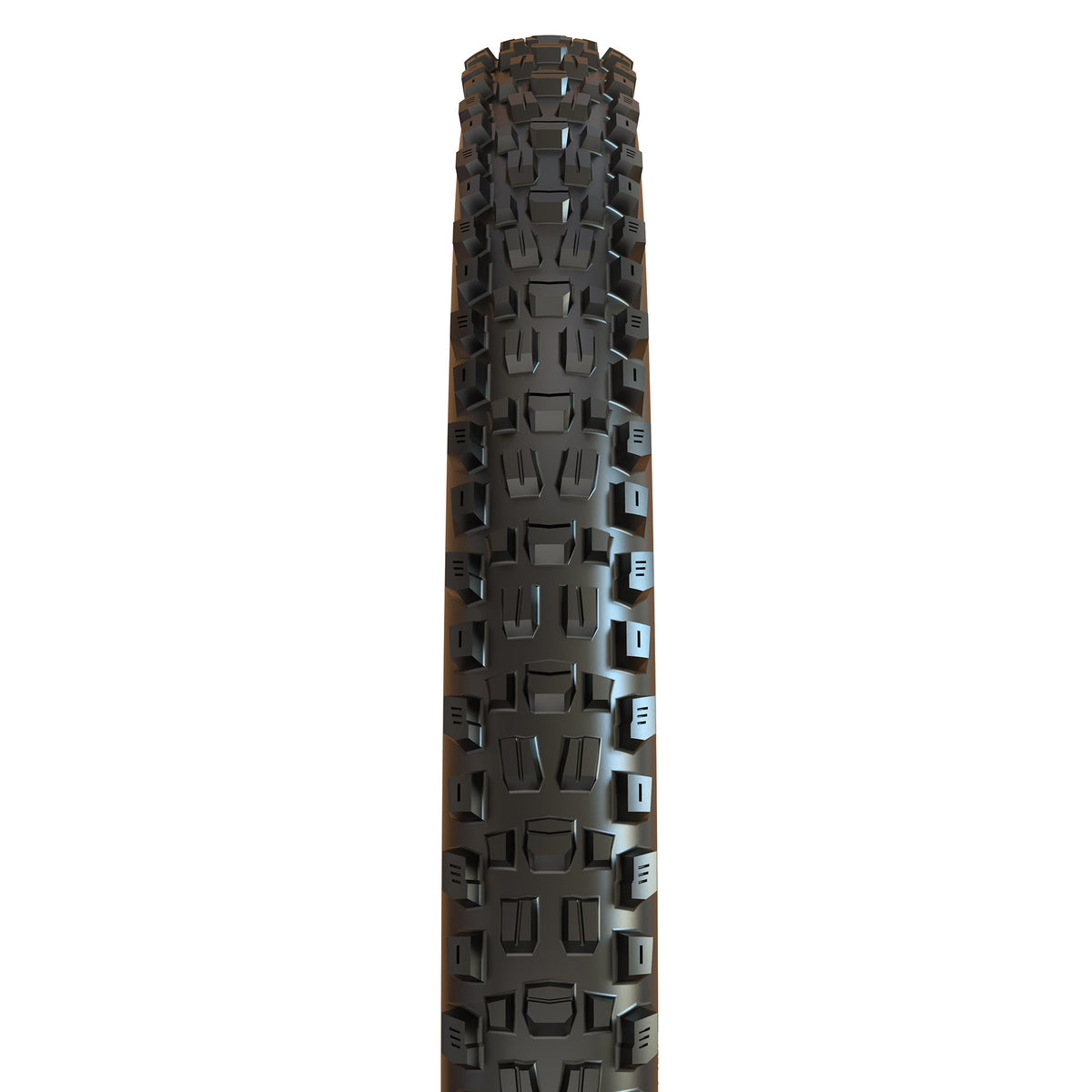 Maxxis Assegai black tyre – tread view