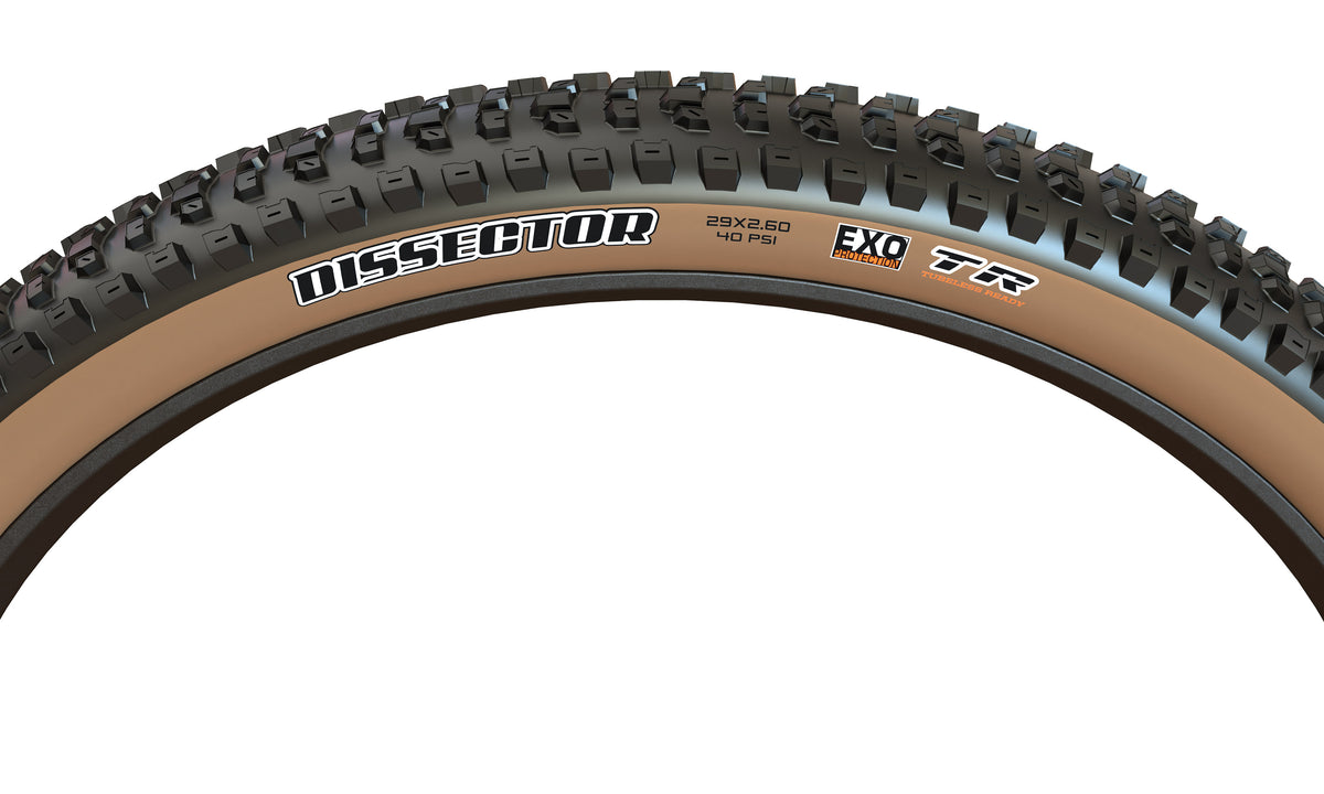 Maxxis Dissector tanwall tyre – sidewall and tread detail